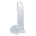 BAILE - DONG REALISTIC DILDO