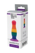 COLOURFUL LOVE COLOURFUL PLUG