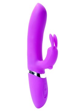 WIBRATOR-CLARA PURPLE 12 VIBRATION AND 6 PULSATION FUNCTIONS USB