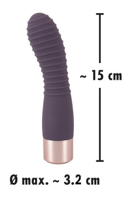 ELEGANT VIBRATOR FLEXY VIBE