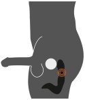 RECHARGEABLE PROSTATE STIMULAT