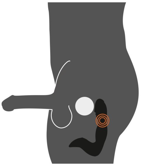 RECHARGEABLE PROSTATE STIMULAT RECHARGEABLE PROSTATE STIMULAT