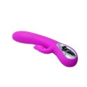 PRETTY LOVE - ROMANCE MASSAGE SUCKING & VIBRATING 12 FUNCTIONS USB