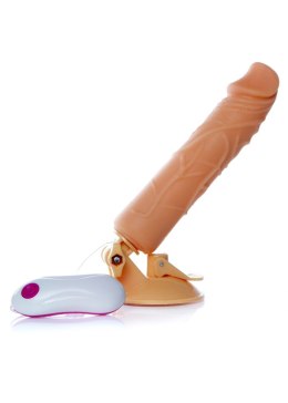WIBRATOR-MR. PERFECT VIBRATION 12 FUNCTIONS