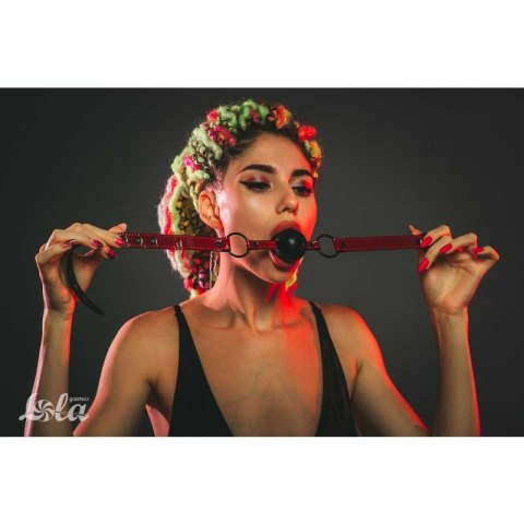 BALL GAG PARTY HARD LOVE BITE BALL GAG PARTY HARD LOVE BITE
