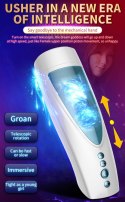 MASTURBATOR SZTUCZNA DUPA I CIPKA POCHWA WIBRACJE MASTURBATOR-VIBRATING, ROTATING AND FLASHING USB 10+10 FUNCTION / TALK MODE