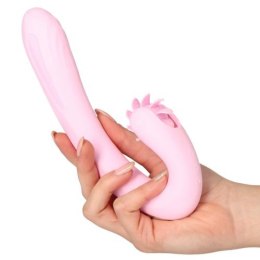ORAL FANTASY