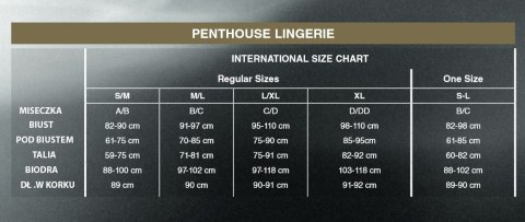 Bielizna-Hypnotic power black S-L PENTHOUSE Bielizna-Hypnotic power black S-L PENTHOUSE