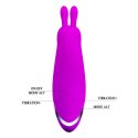 PRETTY LOVE - BUNNY USB 12 FUNCTIONS