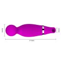 PRETTY LOVE - ROMANCE 3 IN 1 USB 12 FUNCTIONS