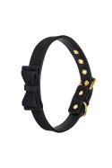 THE COLLAR PARTY HARD DECADENCE