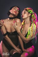 THE COLLAR PARTY HARD DECADENCE