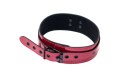 THE COLLAR PARTY HARD ECCENTRIC