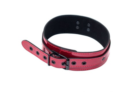 THE COLLAR PARTY HARD ECCENTRIC THE COLLAR PARTY HARD ECCENTRIC