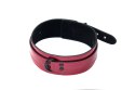 THE COLLAR PARTY HARD ECCENTRIC