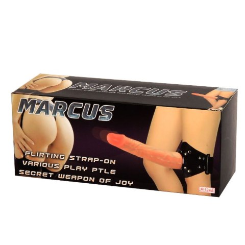 BAILE- MARCUS BAILE- MARCUS