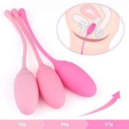 KULKI- PALLINE VAGINALI TRAINING PLEASURE