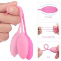 KULKI- PALLINE VAGINALI TRAINING PLEASURE