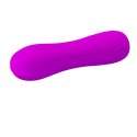 PRETTY LOVE - ALLEN 12 FUNCTIONS USB