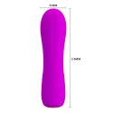 PRETTY LOVE - ALLEN 12 FUNCTIONS USB