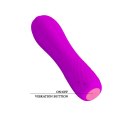 PRETTY LOVE - ALLEN 12 FUNCTIONS USB