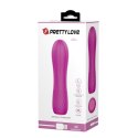 PRETTY LOVE - ALLEN 12 FUNCTIONS USB