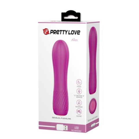 PRETTY LOVE - ALLEN 12 FUNCTIONS USB PRETTY LOVE - ALLEN 12 FUNCTIONS USB