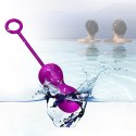 KULKI GEJSZY TRENING MIĘŚNI KEGLA KORALIKI JAJKA KULKI-KEGEL BALLS - SET