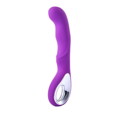 Vibrator G-spot 10 functions USB Purple Vibrator G-spot 10 functions USB Purple