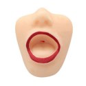 SEX MASTURBATOR SZTUCZNA REALISTYCZNA POCHWA ANAL MASTURBATORE SEXY MOUTH