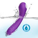 LEGEND PURPLE
