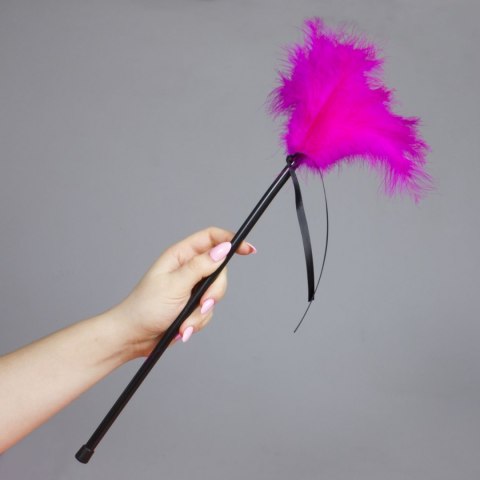 PLUMERO PLUMAS FUCSIA PLUMERO PLUMAS FUCSIA