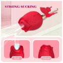 ROSE FLIRTING PARTNER USB 10 FUNCTIONS