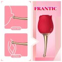 ROSE FLIRTING PARTNER USB 10 FUNCTIONS