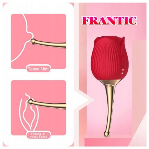 ROSE FLIRTING PARTNER USB 10 FUNCTIONS ROSE FLIRTING PARTNER USB 10 FUNCTIONS
