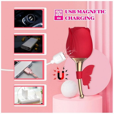 ROSE FLIRTING PARTNER USB 10 FUNCTIONS ROSE FLIRTING PARTNER USB 10 FUNCTIONS