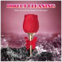 ROSE FLIRTING PARTNER USB 10 FUNCTIONS