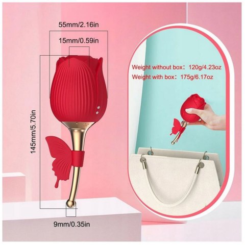 ROSE FLIRTING PARTNER USB 10 FUNCTIONS ROSE FLIRTING PARTNER USB 10 FUNCTIONS