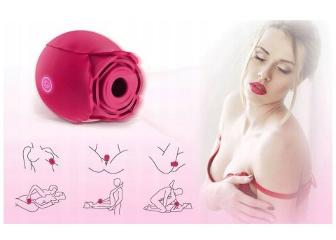 ROSE FLIRTING PARTNER USB 10 FUNCTIONS ROSE FLIRTING PARTNER USB 10 FUNCTIONS