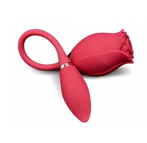 ROSE MISS COYNESS USB 10 FUNCTION ROSE MISS COYNESS USB 10 FUNCTION