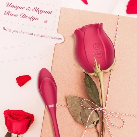 ROSE MISS COYNESS USB 10 FUNCTION ROSE MISS COYNESS USB 10 FUNCTION