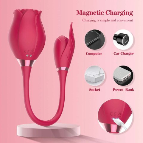 ROSE MISS COYNESS USB 10 FUNCTION ROSE MISS COYNESS USB 10 FUNCTION