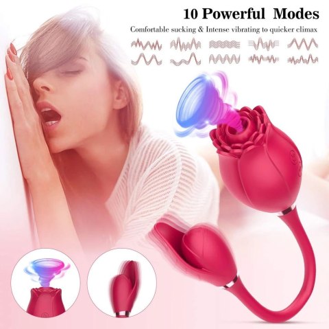 ROSE MISS COYNESS USB 10 FUNCTION ROSE MISS COYNESS USB 10 FUNCTION