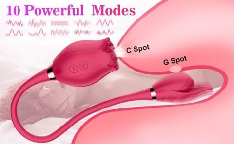 ROSE MISS COYNESS USB 10 FUNCTION ROSE MISS COYNESS USB 10 FUNCTION