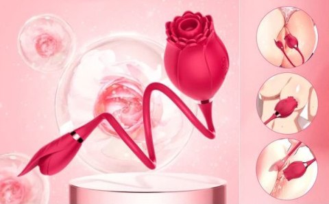 ROSE MISS COYNESS USB 10 FUNCTION ROSE MISS COYNESS USB 10 FUNCTION