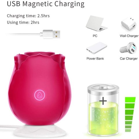 STYMULATOR-ROSE MASSAGER USB 10 FUNCTION STYMULATOR-ROSE MASSAGER USB 10 FUNCTION