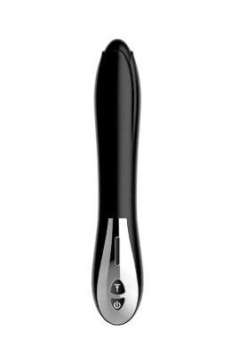 MIDNIGHT MAGIC BLACK TULIP