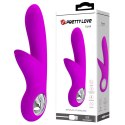PRETTY LOVE - CAROL USB PURPLE 7 FUNCTION