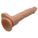 BAILE - BODACH, 7 VIBRATION FUNCTIONS 7 THRUSTING SETTINGS 7 ROTATION FUNCTIONS
