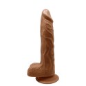 BAILE - BODACH, 7 VIBRATION FUNCTIONS 7 THRUSTING SETTINGS 7 ROTATION FUNCTIONS